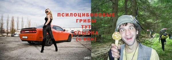 первитин Пестово